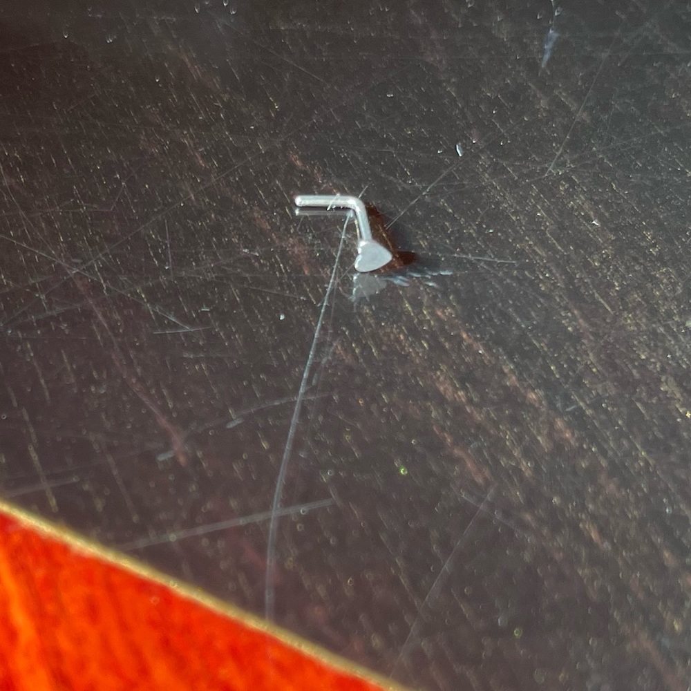 4 Nose Rings - Picture 11 of 12